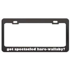 Got Spectacled Hare Wallaby? Animals Pets Black Metal License Plate 
