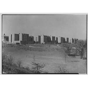 Photo Forest Hills South, Forest Hills, Long Island. General view of 