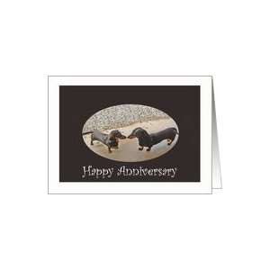 Happy Anniversary, two dachshunds.humor Card
