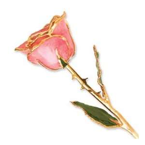  Long Stem Dipped 24K Gold Trim Pink Genuine Rose in Gold 