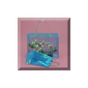  100ea   13 X 5 X 10 Mirror Blue Handle Bag Health 