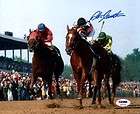 Fred Stone Affirmed Steve Cauthen Up signed and numbered  