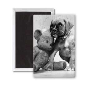  A Teddy Bear and a Puppy   3x2 inch Fridge Magnet   large 