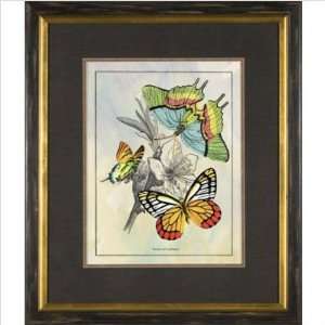  Phoenix Galleries HP781 Varieties of B   Flies 4 Framed 