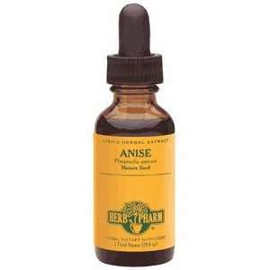Anise 1 oz Grocery & Gourmet Food