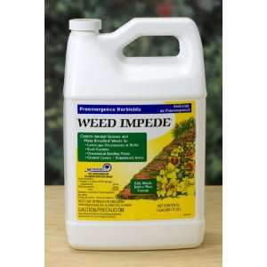  Weed Impede 2 in 1 Concentrate Patio, Lawn & Garden
