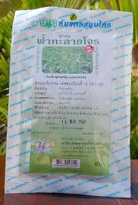 100 Bags Andrographis Paniculata Tea. Flu/Antiviral  