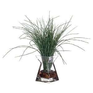   Natural Long Green Grass In Glass Vase by Gordon Patio, Lawn & Garden