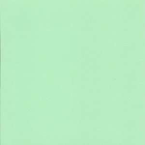 Cre8 a Page 8x8 Green Opaque/Mint Cardstock, 25 Sheets, Card Stock 