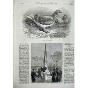  Antwerp Carrier Pigeon 1871 Monument Richard Mayne