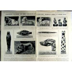  1923 MUMMIFIED ANIMALS EGYPT TUTANKHAMEN MODELGUN CAR 