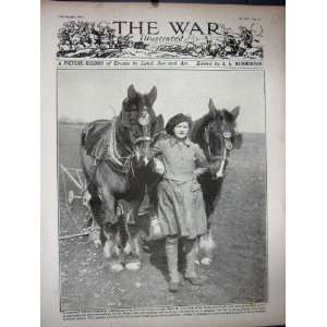  WW1 1917 Truscott St. Veep Cornwall Agricultural Horses 