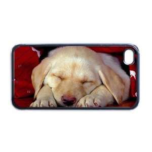  Cute lab puppy Apple iPhone 4 or 4s Case / Cover Verizon 