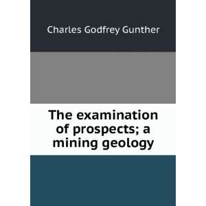   of Prospects A Mining Geology Charles Godfrey Gunther Books