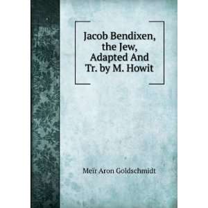   the Jew, Adapted And Tr. by M. Howit MeÃ¯r Aron Goldschmidt Books