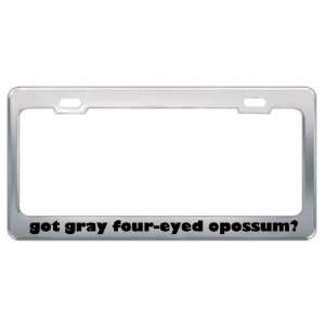 Got Gray Four Eyed Opossum? Animals Pets Metal License Plate Frame 