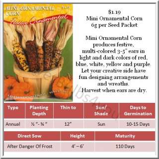 Corn / Ornamental Corn Seeds Different Varieties  