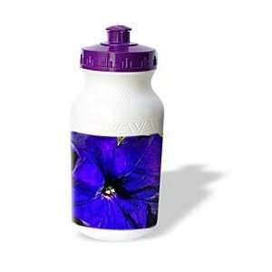  Florene Flowers   Arent I Purple Too   Water Bottles 