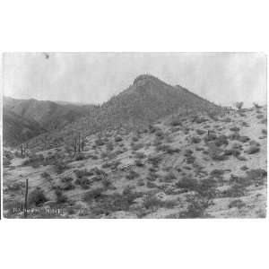  Mammoth mine,arid,cactus covered hill,c1901