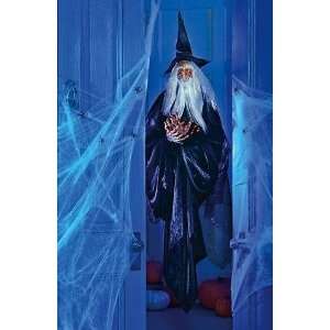  Spooky & Magical Sound Activated Halloween Wizard Door 