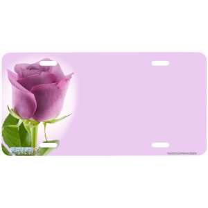Lavender Rose Rose Flower Art License Plate Car Auto Novelty Front Tag 