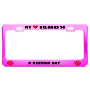 Birman Cat Pet Pink Metal License Plate Frame Tag Holder