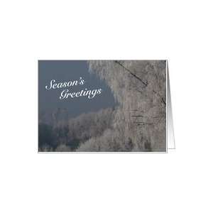  Seasons Greetings   winter frost / snow Card Health 