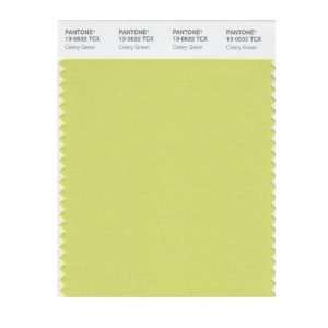  PANTONE SMART 13 0532X Color Swatch Card, Celery Green 