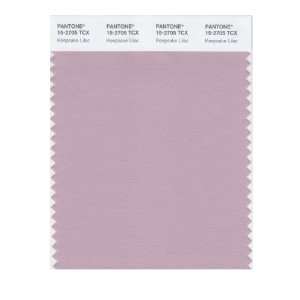  PANTONE SMART 15 2705X Color Swatch Card, Keepsake Lilac 