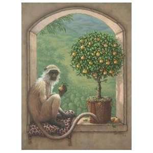  Monkey Pear Tree Poster Print