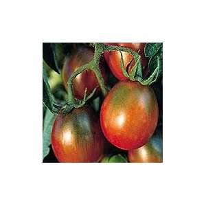   Plum Tomato 48 Plants   Exceptional Flavor Patio, Lawn & Garden