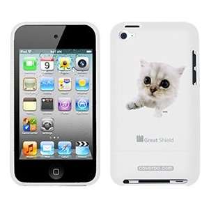  Persian Kitten on iPod Touch 4g Greatshield Case 