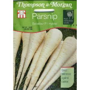   567 RHS Parsnip Excalibur F1 Hybrid Seed Packet Patio, Lawn & Garden