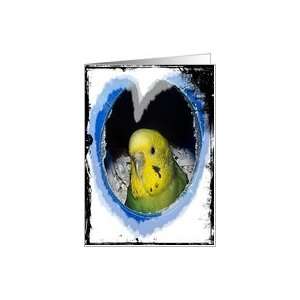  Parakeet Bird Heart Blankcard Notecard Card Health 