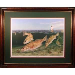 Crab Crazy   Redfish or red drum and Crab fish art wildlife print by 