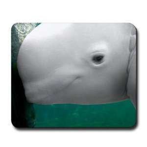  Beluga Watching Animal Mousepad by  Office 