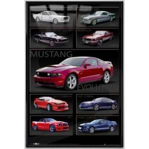  Ford Mustang Evolution   Framed Poster (Size 24 x 36 