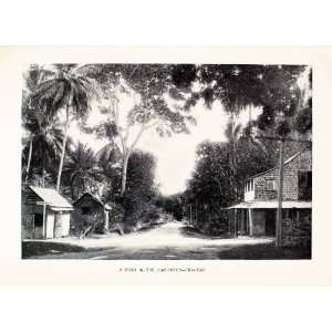  1903 Print Rustic Road Village Trinidad Tobago Caribbean Island 
