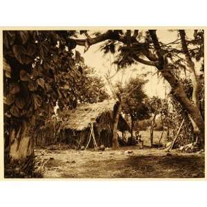  1925 Indian Hut Choza Indios Oaxaca Mexico Photogravure 