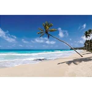    Fathead Wall Decal Tropical Beach 6 Foot By 4 Foot
