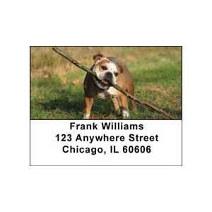  Bulldogs Address Labels