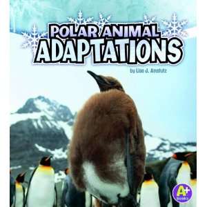   Books Amazing Animal Adaptations) [Paperback] Lisa Jo Amstutz Books