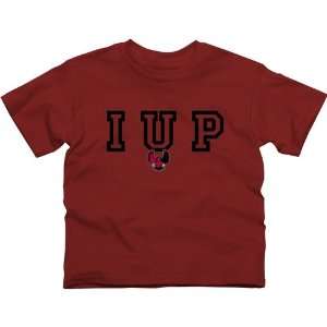   Crimson Hawks Youth Wordmark Logo T Shirt   Crimson