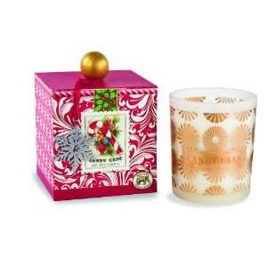  Michel Design Works Large Soy Wax Candle, Candy Cane, 14 