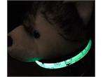 New Flashing LED Light Pet Dog Nylon Safety Collar Size S/M/L/XL 
