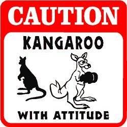  MVBCs review of CAUTION KANGAROO WITH ATTITUDE zoo new 