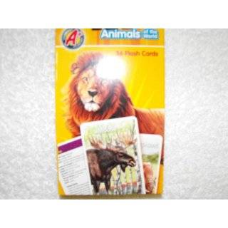 A+ Animals of the world 36 full color flash cards