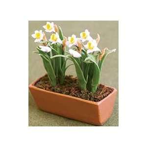  Miniature Daffodil Window Box sold at Miniatures Kitchen 