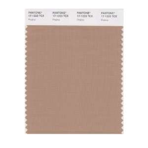  PANTONE SMART 17 1223X Color Swatch Card, Praline