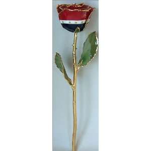  Patriot Preserved and Gold Rose